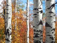 Utah 15-20 September 2014